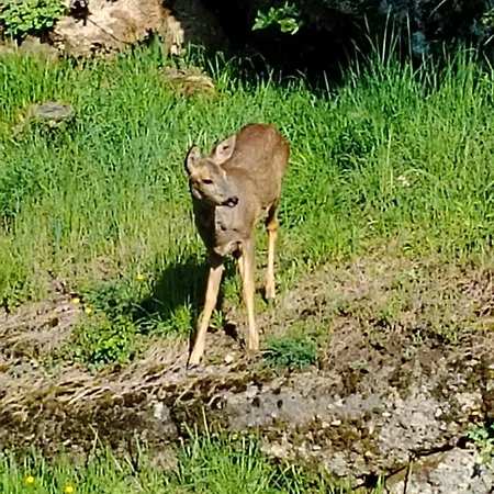 Bed & Breakfast D'hotes L'ecrin Du Quercy
