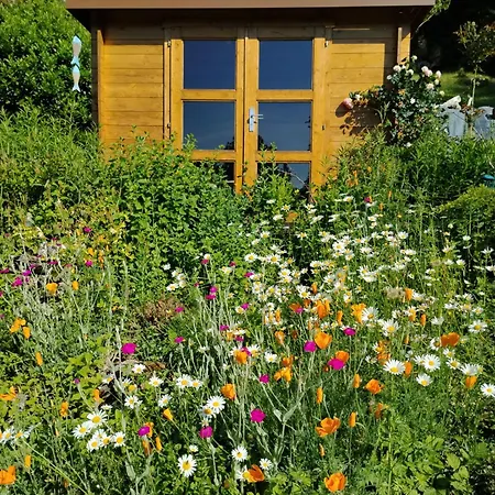 Bed & Breakfast D'hotes L'ecrin Du Quercy Figeac