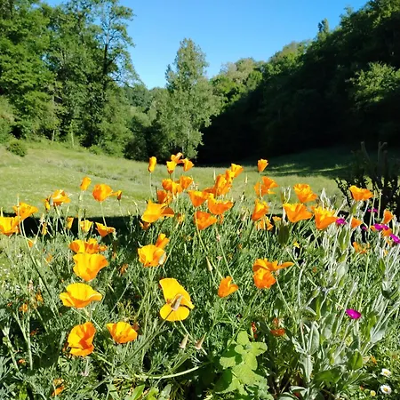 Bed & Breakfast D'hotes L'ecrin Du Quercy 3*