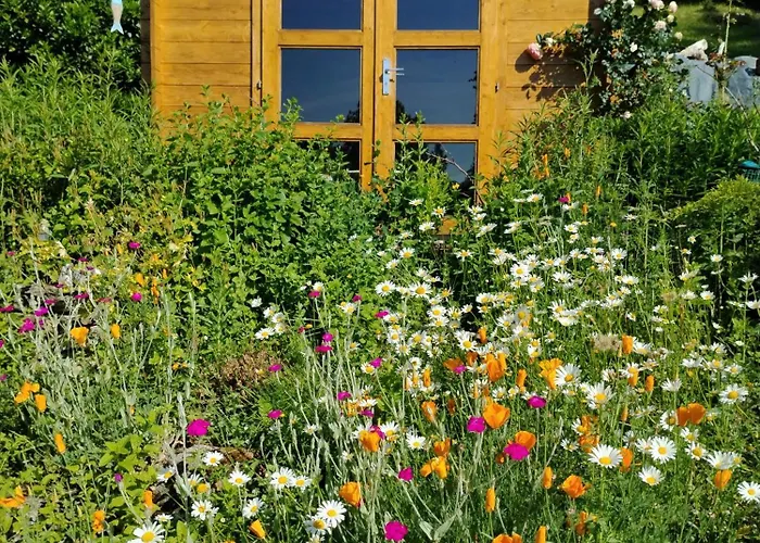 Frühstückspension D'hotes L'ecrin Du Quercy Figeac