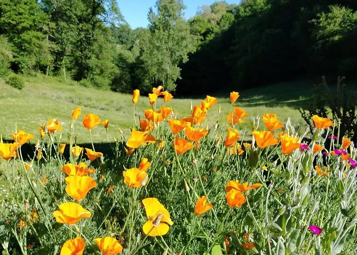 Frühstückspension D'hotes L'ecrin Du Quercy 3*