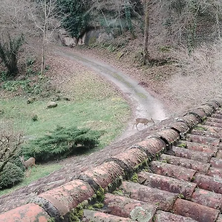 D'hotes L'ecrin Du Quercy Bed & Breakfast *